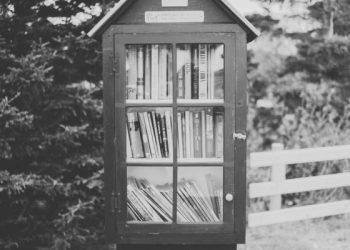 What is the cost of editing a book, and how does it vary across different editing services?
